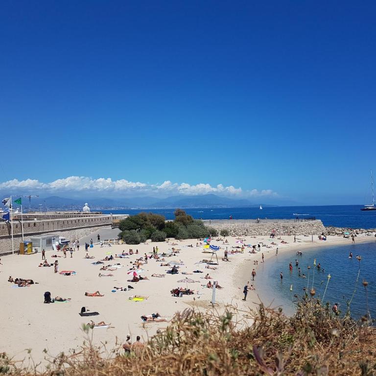 Le Toit Antibois - Vue port – Vieil Antibes - Apartment - 13