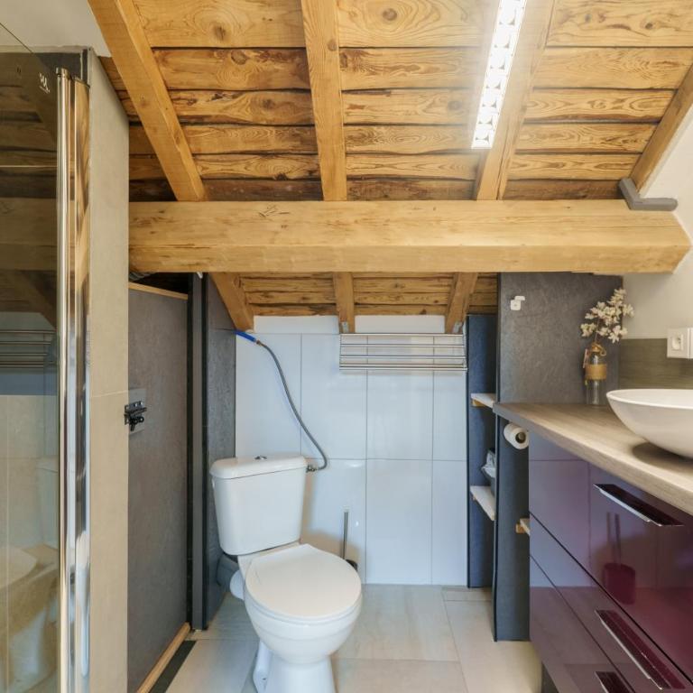 L'Insolite du Centre - Proche station Mauselaine - Appartement - 12