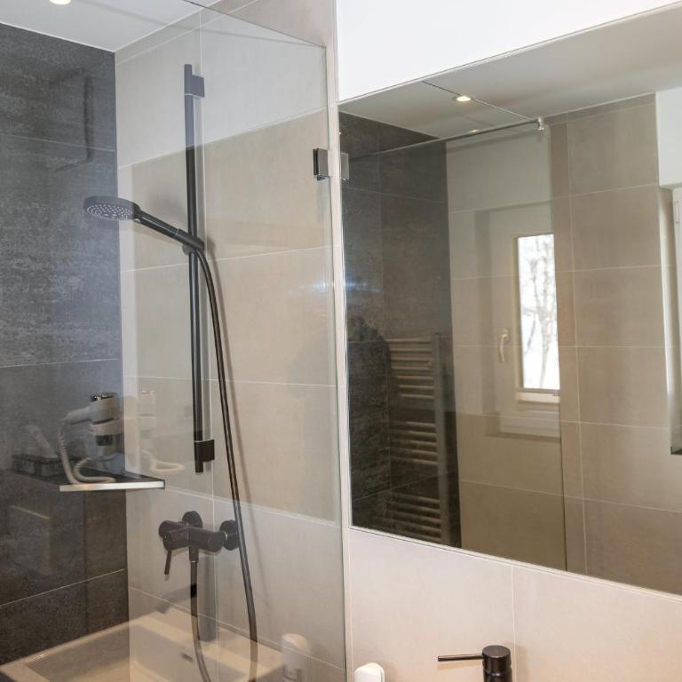 Aparthotel Ramsau - Standard Studio - 9