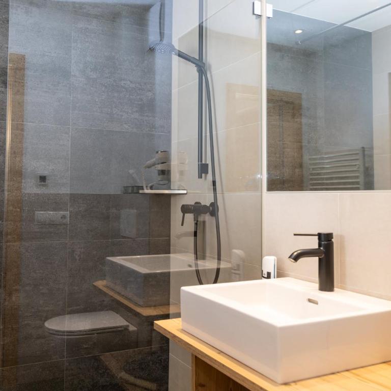 Aparthotel Ramsau - Standard Studio - 10