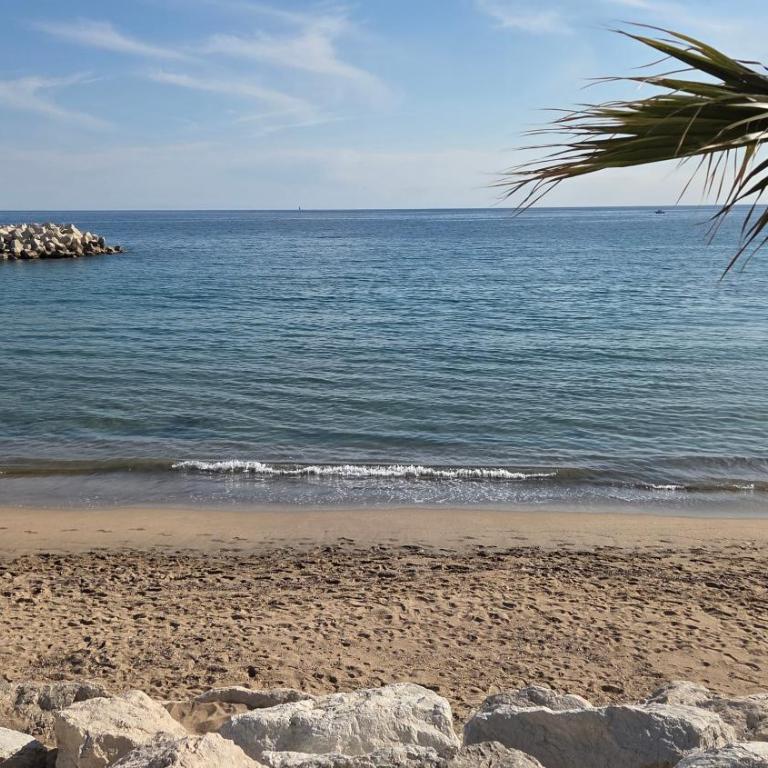 Studio F1 avec jardin, proche du Palais des festivals et des plages - Appartement 1 Chambre - 12