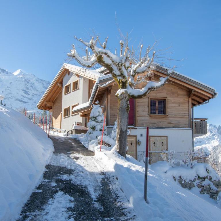 Chalet Silberhorn Penthouse - Penthouse-Apartment - 9