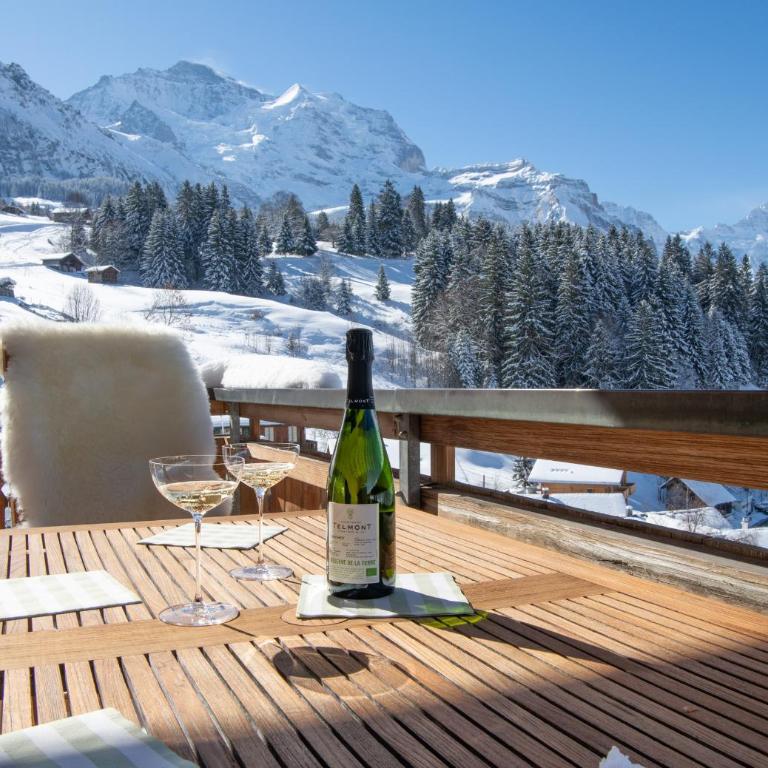 Chalet Silberhorn Penthouse - Penthouse-Apartment - 15