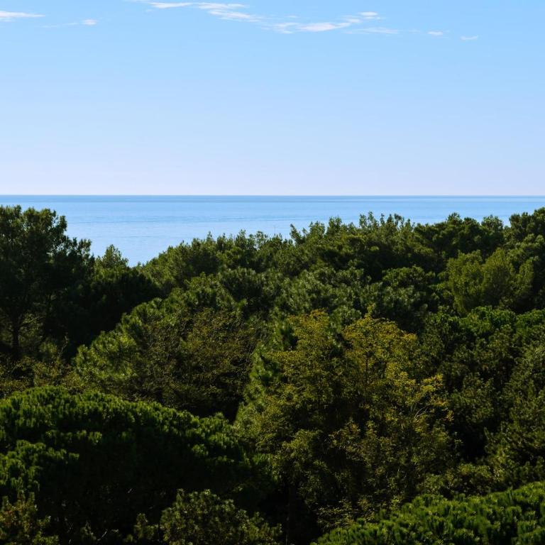 Bright top-floor apartment with sea view - Appartamento - 3