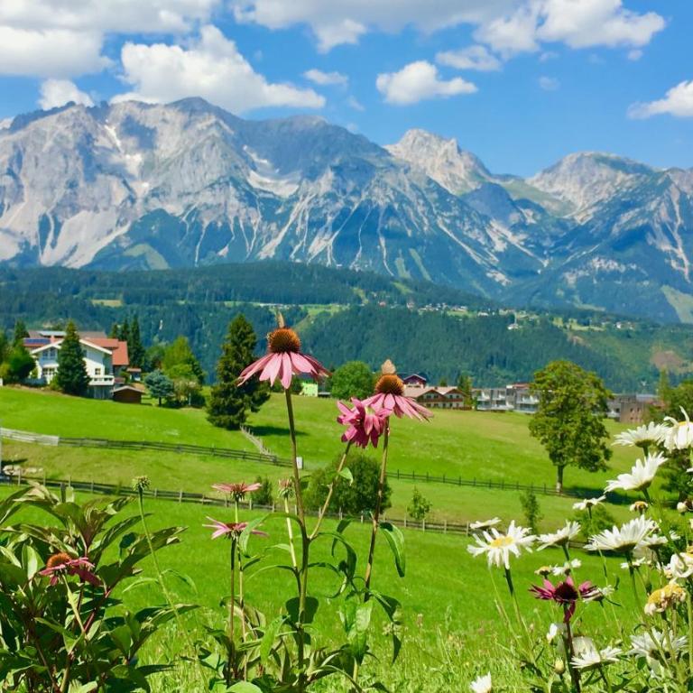 Top 12, Am Sonnenhang, Hochstrasse Schladming - Apartment - 30