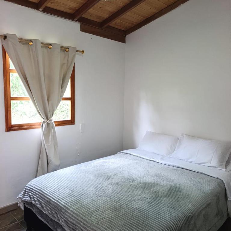 Villa Belén - Four-Bedroom House - 3