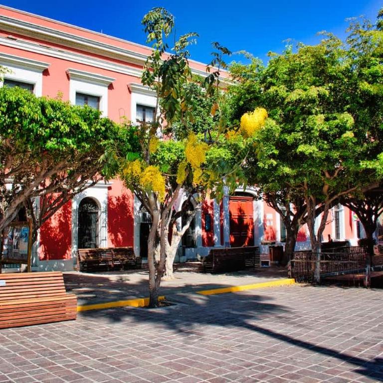 Apartment with large terrace in Historic Center - Apartamento - 32