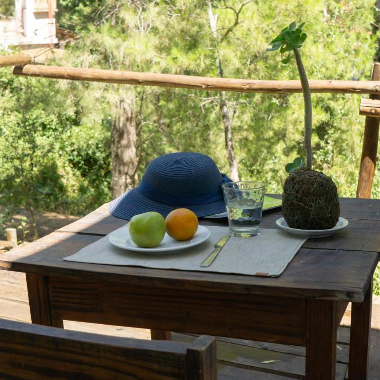 Viento Sur - One-Bedroom Apartment - 10