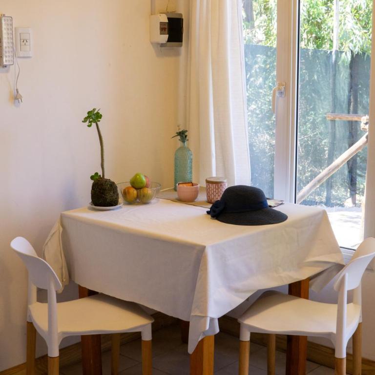 Viento Sur - One-Bedroom Apartment - 4