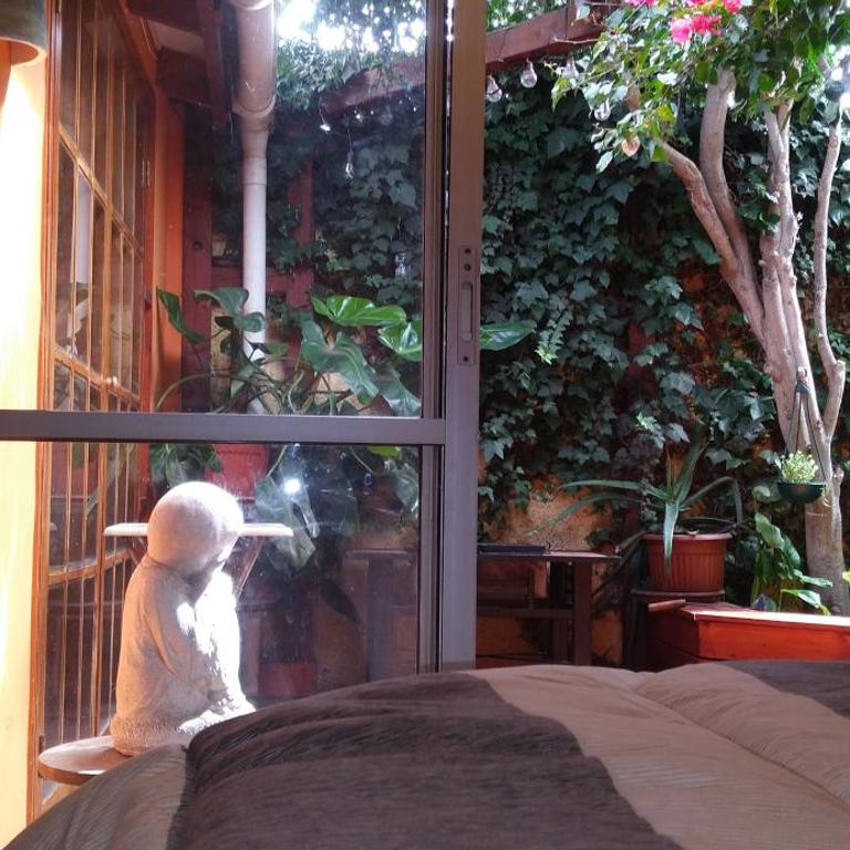 La Casa de los Cactus - Double Room with Terrace - 33