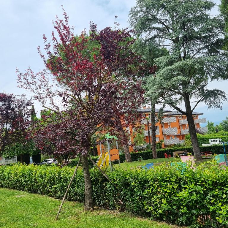 Gemma sul Lago - Appartamento con Terrazza - 13