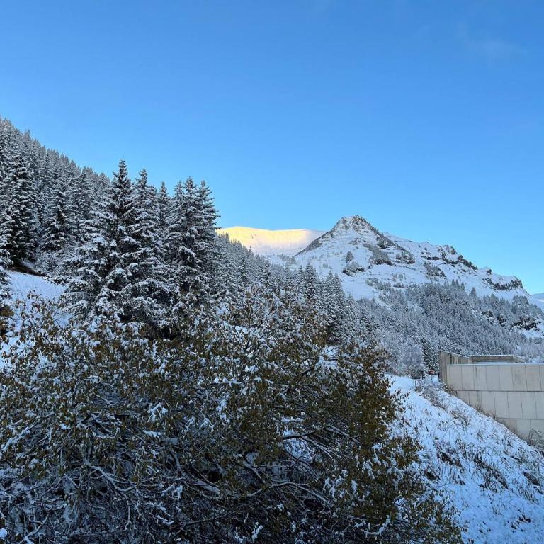Appartement 3 pièces à Flaine, 6 pers, moderne et confortable - Appartement 2 Chambres - 17