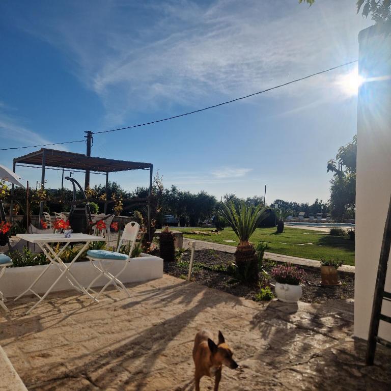 Trulli Dal Conte - Appartamento con 1 Camera da Letto - 5