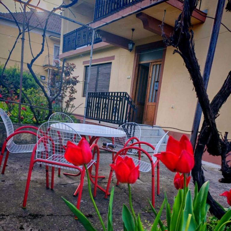 Integrita Forza - Apartman sa 2 Spavaće Sobe - 2