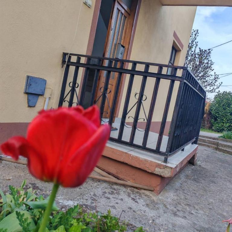 Integrita Forza - Apartman sa 2 Spavaće Sobe - 4