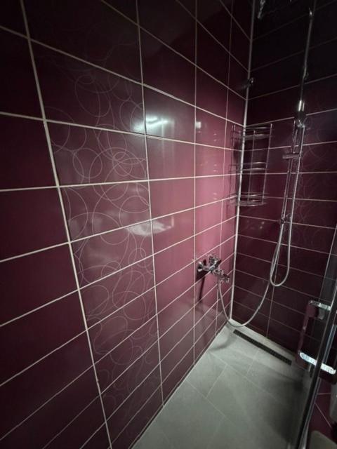 Apartment Azra Sarajevo - Apartman sa 1 Spavaćom Sobom - 14