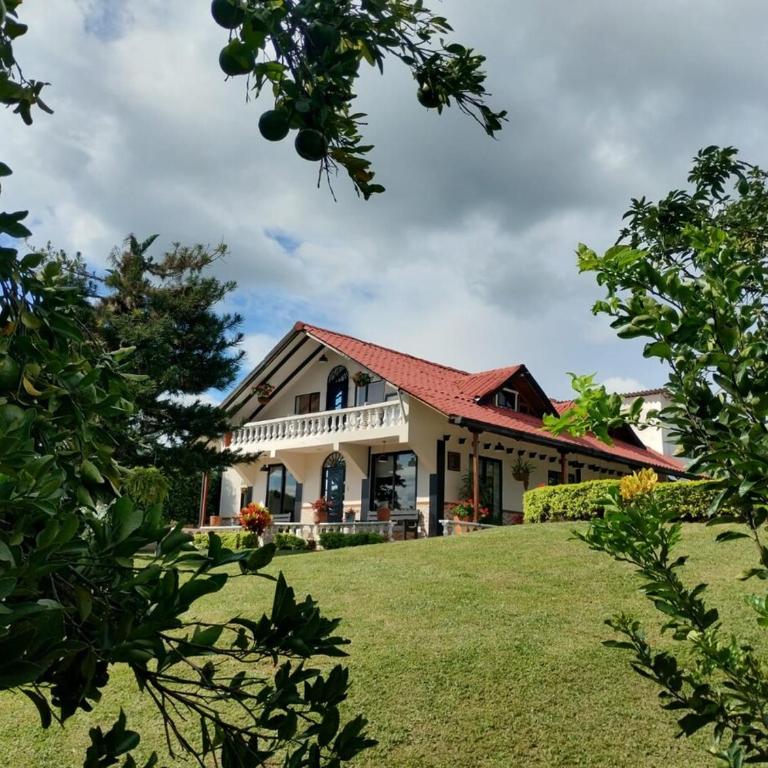 Finca Premium en el Eje Cafetero - Villa - 42