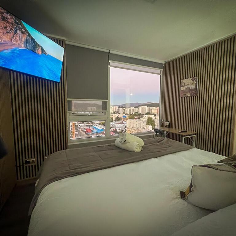 Departamento Premium Vista Laguna Cama King TV 55 Smart Lavadora Secadora Maquina de Cafe - Apartamento de 1 dormitorio - 26