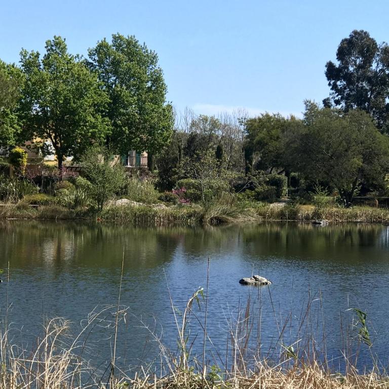 Villa de la Pinède - Villa de 3 dormitorios - 74