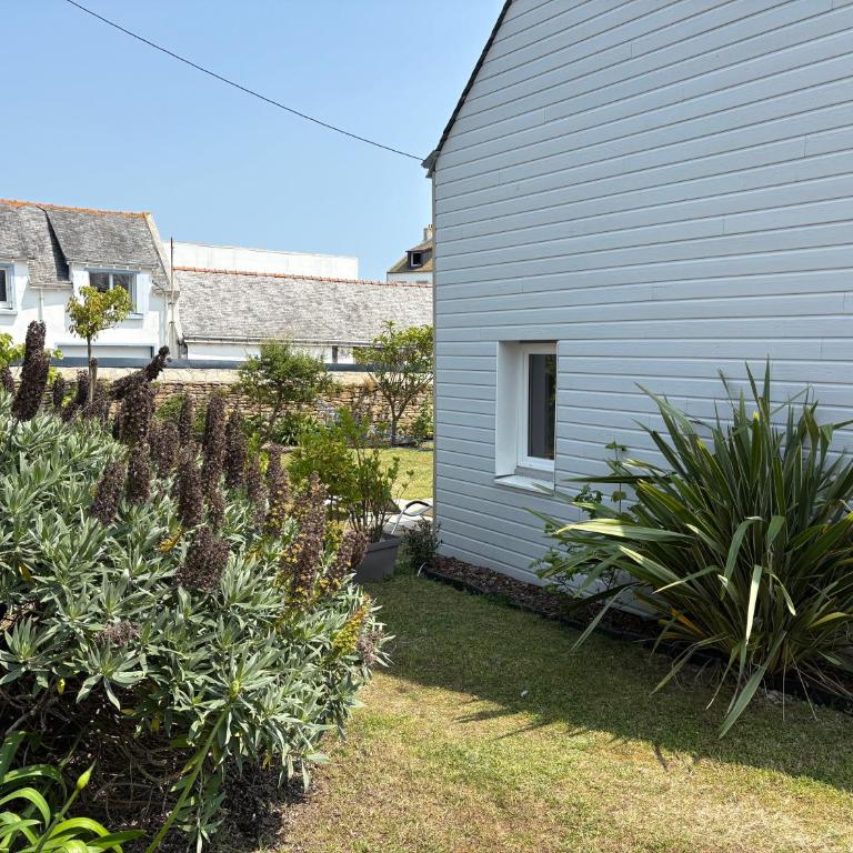 Quiberon - Port Maria maison 4 personnes - Haus mit 2 Schlafzimmern - 24