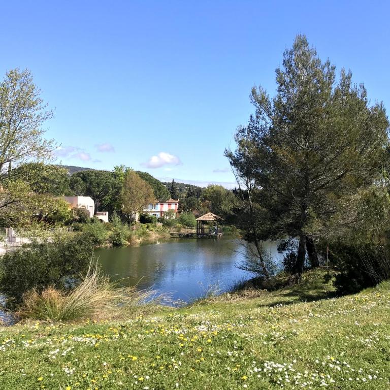 Villa de la Pinède - Villa de 3 dormitorios - 77