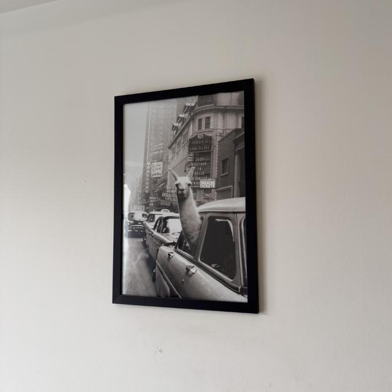 Departamento en Palermo con Piscina, Gym, Balcón - Apartamento de 1 dormitorio - 5