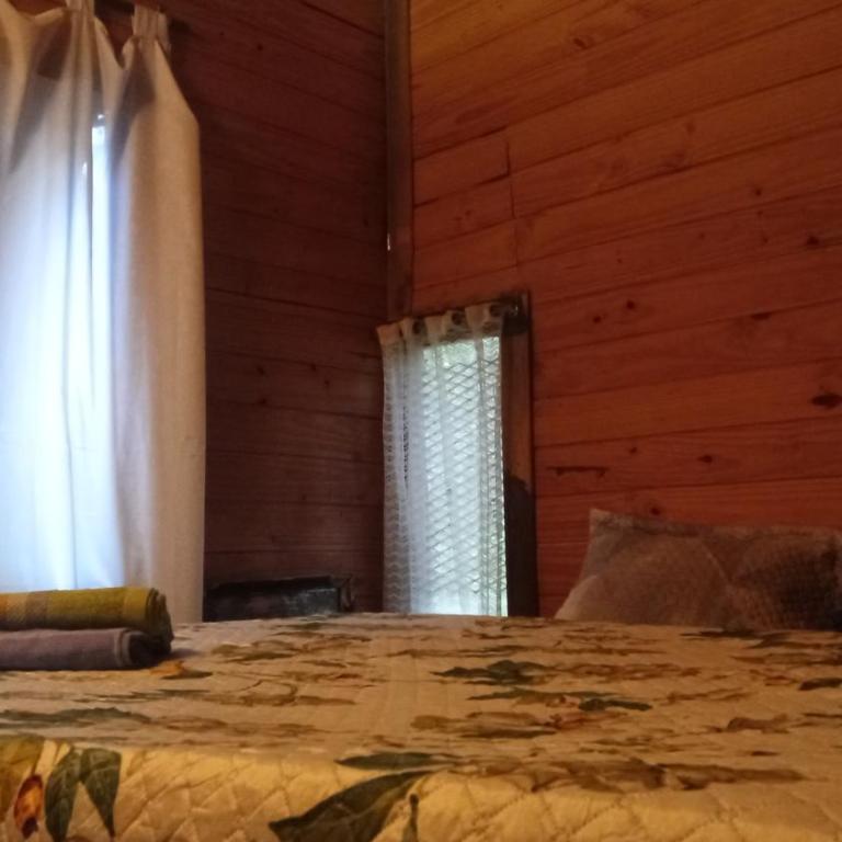 En el Bosque - Casa con 1 dormitorio - 5