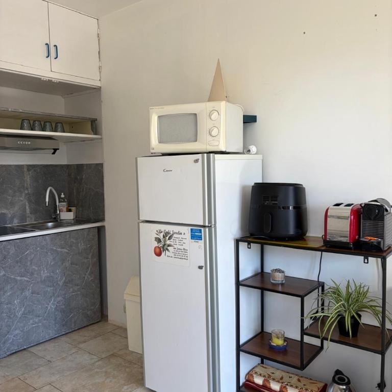 Très beau Studio lumineux dans Villa avec piscine - Appartamento con 1 Camera da Letto - 14