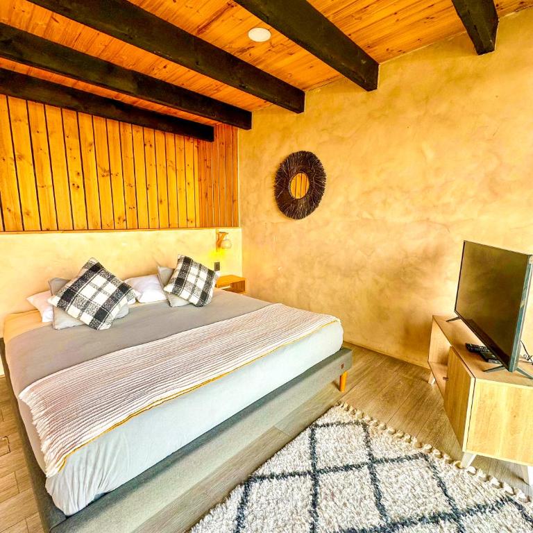 Loft Punta de Lobos - Apartamento de 1 dormitorio - 8