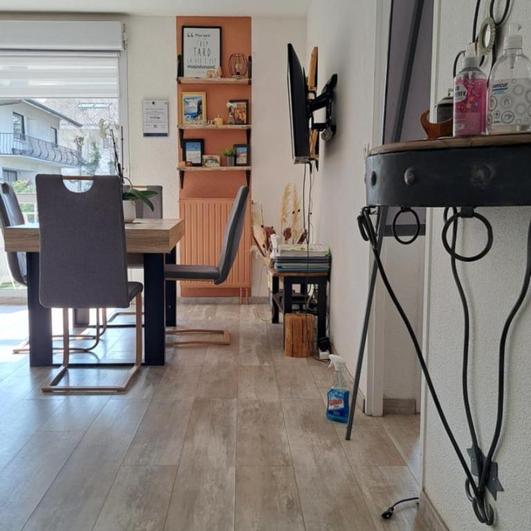 Cosy appartement situé à 500 mètres du centre thermal - Appartement 1 Chambre - 4
