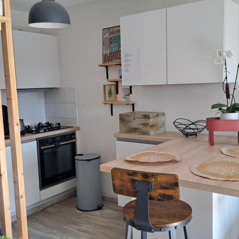 Cosy appartement situé à 500 mètres du centre thermal - Appartement 1 Chambre - 6