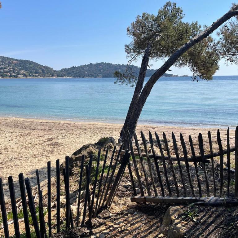 Location appartement au lavandou - Coin Nuit - 1