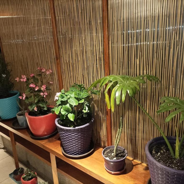 Acogedor y Centrico Departamento - Apartamento - 15