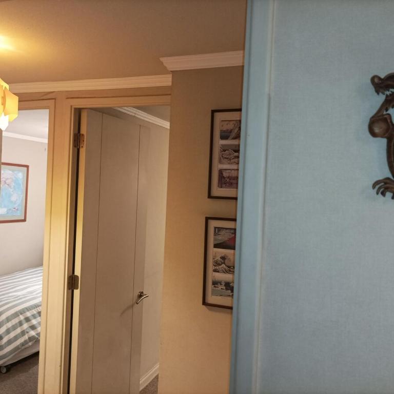 Acogedor y Centrico Departamento - Apartamento - 25