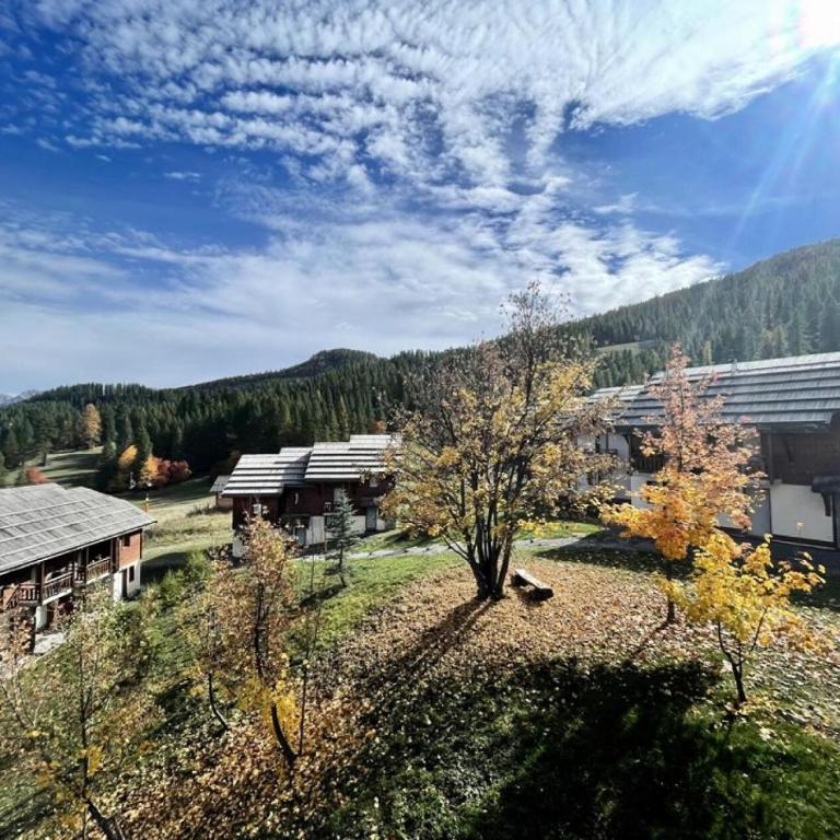 Résidence Parc Aux Etoiles - C210PAE - APPARTEMENT 2 CHAMBRES AVEC BALCON MAE-8234 - Appartamento - 15