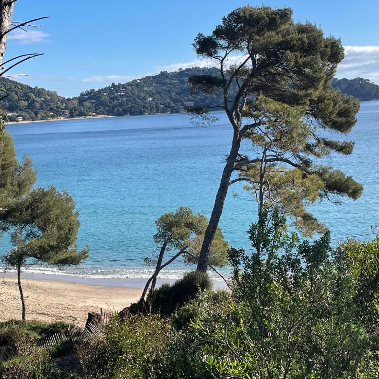 Location appartement au lavandou - Coin Nuit - 14