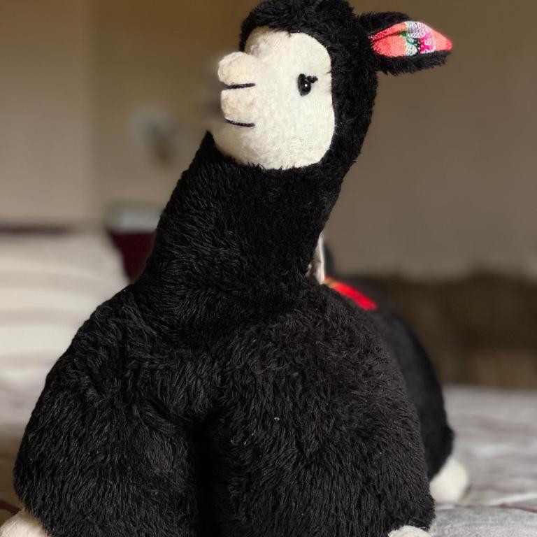 Retama - Habitación Doble con vistas al jardín - 1 o 2 camas - 6