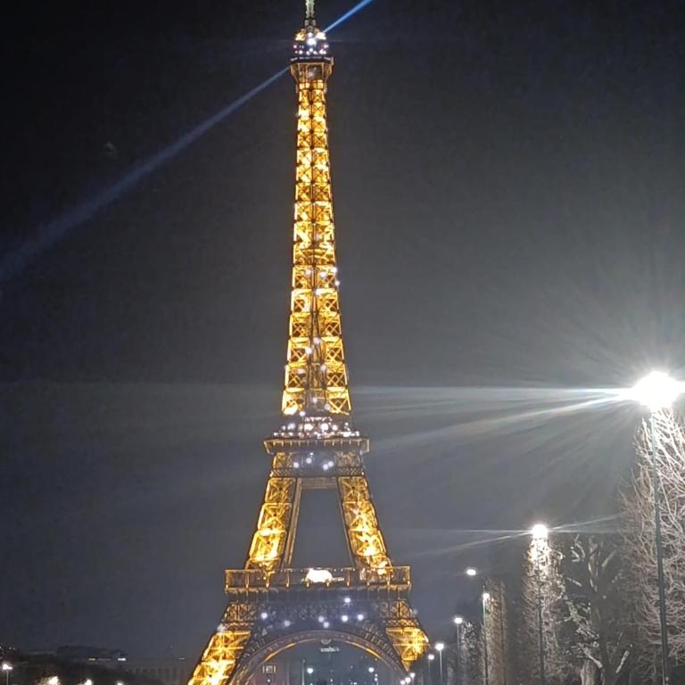 Spacious family flat 2bdr close to Eiffel Tower - Appartement - Vue sur Jardin - 35