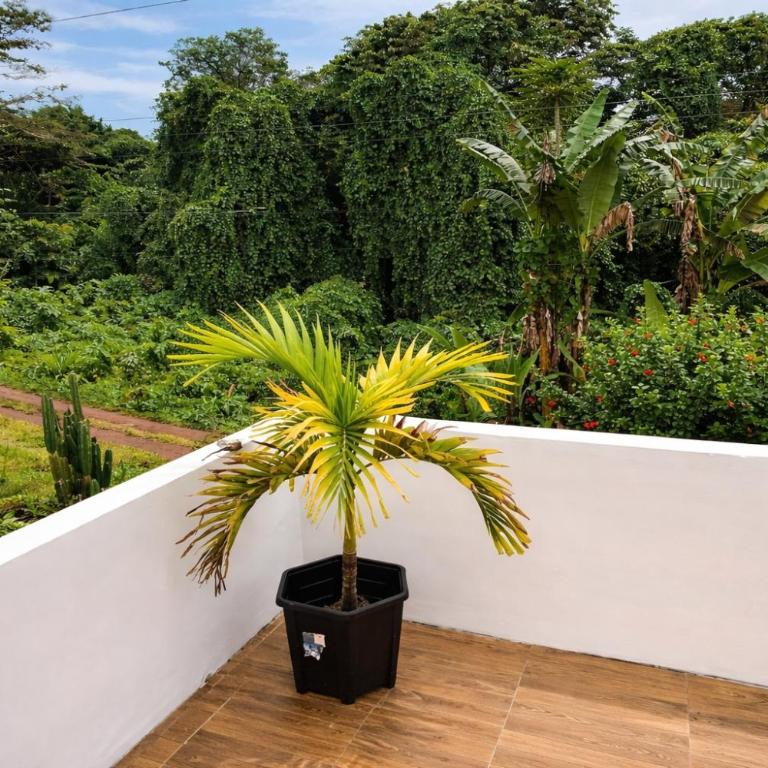 Amancay House, Jacuzzi and Pool - Habitación con cama extragrande y balcón - 6