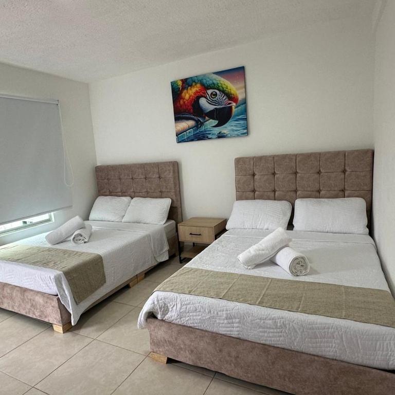 El Nido De Las Guacamayas - Habitación Cuádruple Prémium - 8