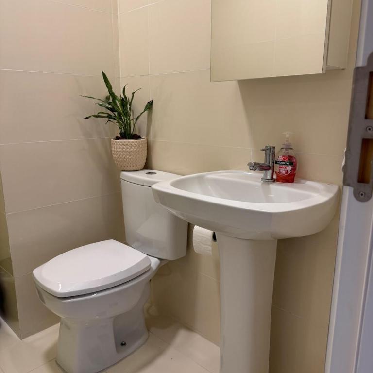 Premium Apartment in Altamira MRA - One-Bedroom Apartment - 16