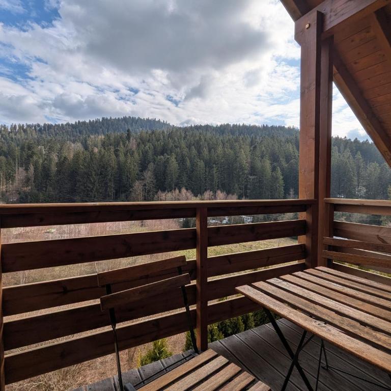 Chalet chaleureux à Gérardmer avec spa et sauna - FR-1-589-843 - Maison de Vacances - 26