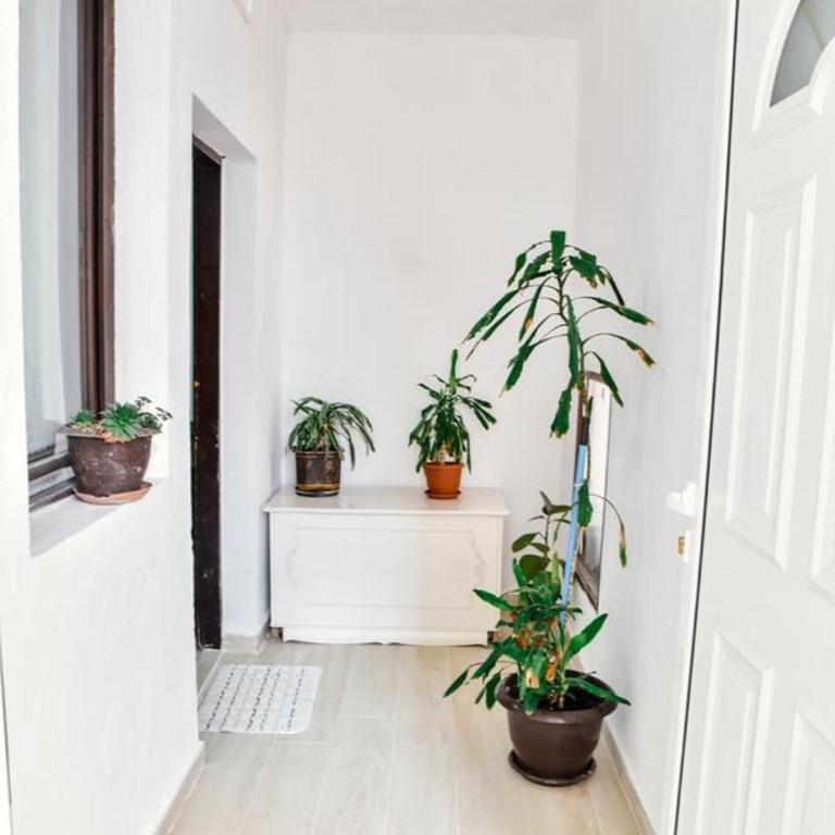 Apartment Ralf - Two-Bedroom Family Apartment - 1