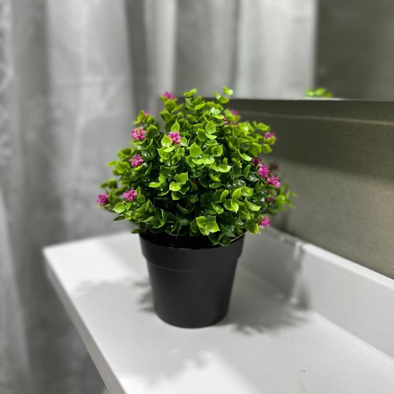 Habitación cerca al aeropuerto en apartamento compartido - Apartamento de 1 dormitorio - 20