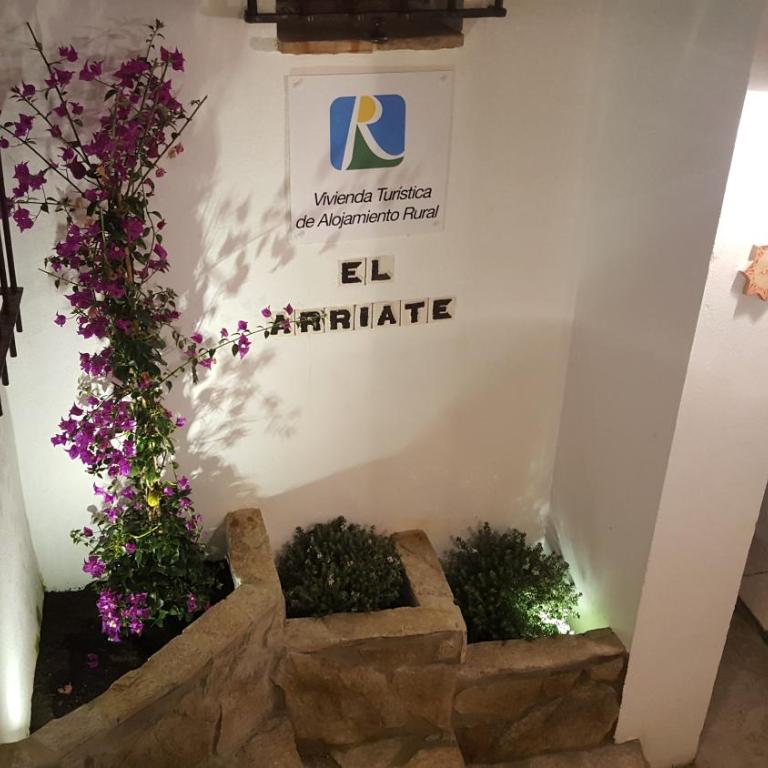 El Arriate de Vejer - Apartamento con terraza - 2