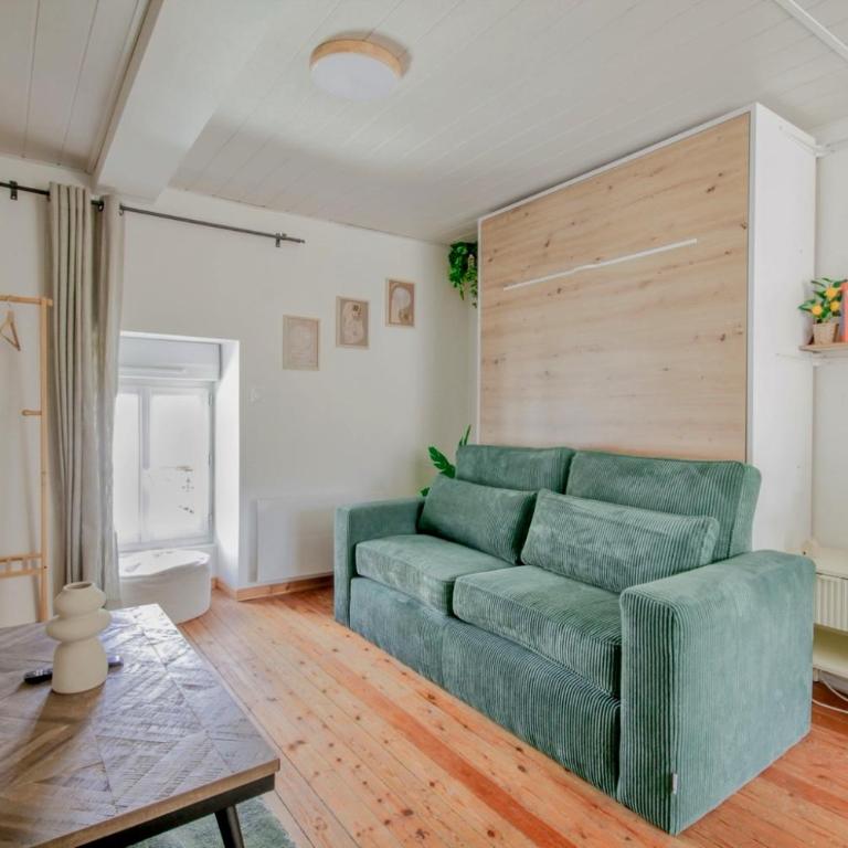 Studio lumineux - Quai de Versailles - Erdre - Appartamento con 1 Camera da Letto - 1