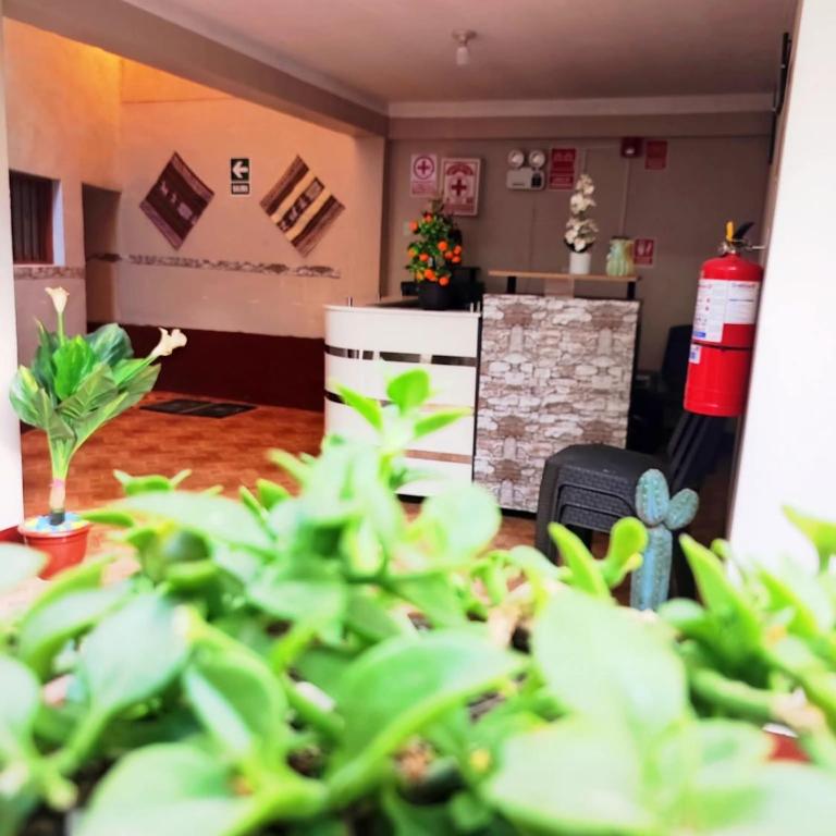 El REFUGIO DE MIS SUEÑOS - Standard Double Room with Shared Bathroom - 4