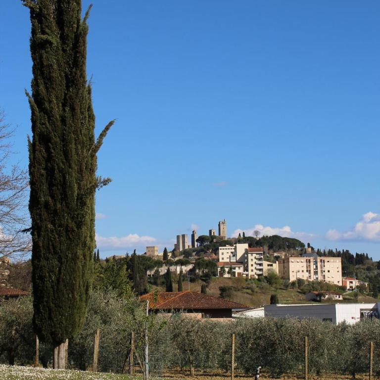 Podere la Campagnola - Vacation Home - 30