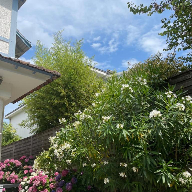 Floria by TAH, Villa Bauloise, downtown within walking distance - Villa 3 Chambres - 24