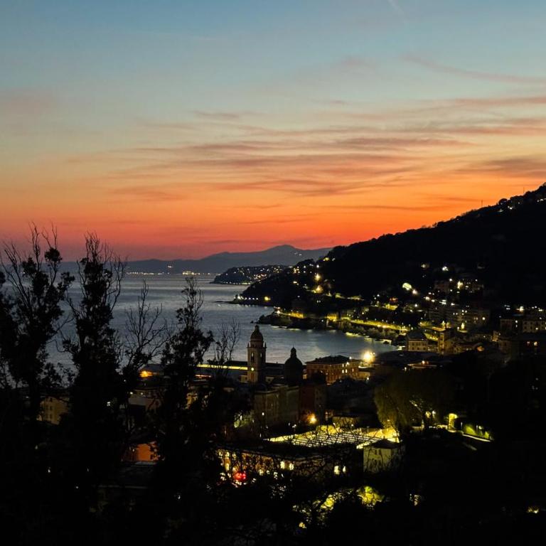 Una finestra sul mare - Appartamento con 1 Camera da Letto - 4